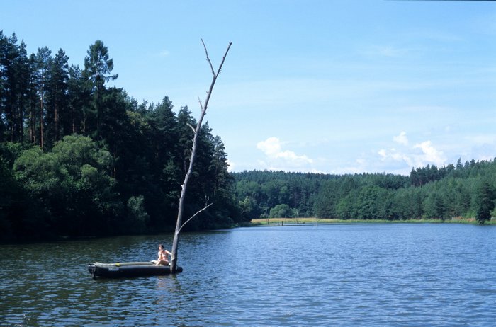 2001 tabor Persea 003 resize